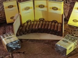 Tabacos de Holguín 12